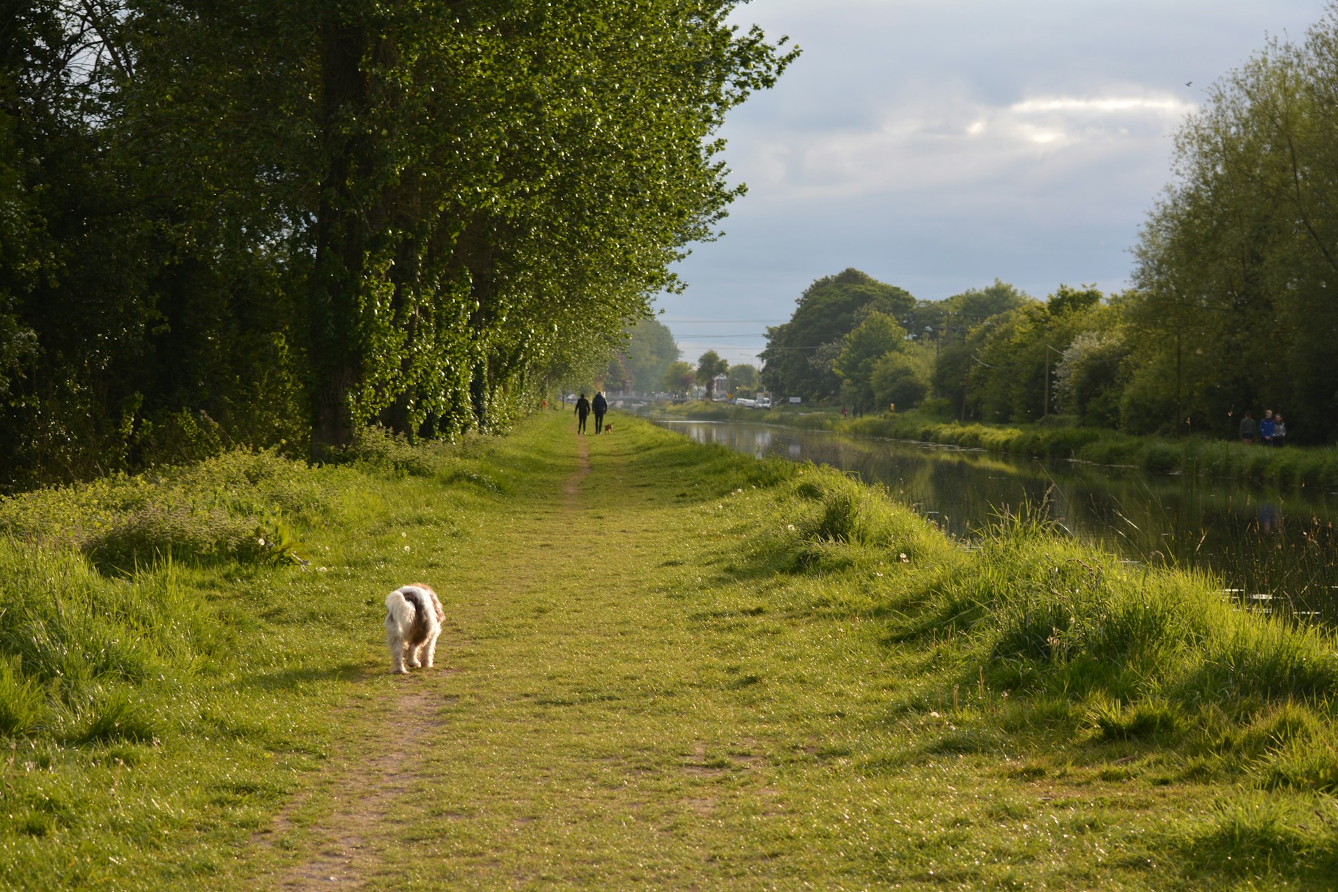 County Offaly